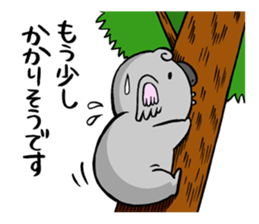 a modest koala sticker #10582708