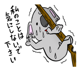 a modest koala sticker #10582716