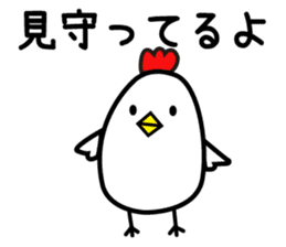 Vary Chickens.So Cute. sticker #10585269