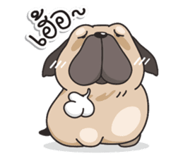 Pongpang the pug sticker #10586261