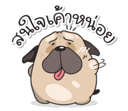 Pongpang the pug sticker #10586263