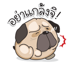 Pongpang the pug sticker #10586295