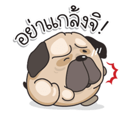 Pongpang the pug sticker #10586295