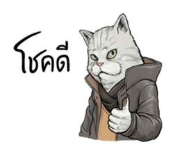 40 Serious cats sticker #10586761