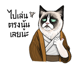 40 Serious cats sticker #10586762