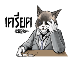 40 Serious cats sticker #10586776