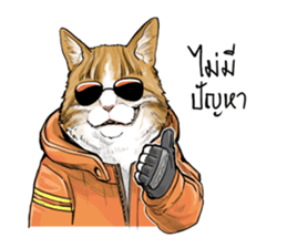 40 Serious cats sticker #10586783