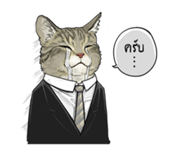 40 Serious cats sticker #10586785