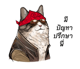 40 Serious cats sticker #10586791