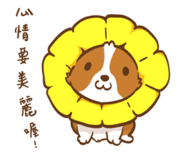Corgi Dog KaKa - Drama Queen sticker #10591817