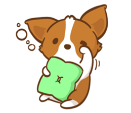 Corgi Dog KaKa - Drama Queen sticker #10591826