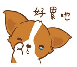Corgi Dog KaKa - Drama Queen sticker #10591829