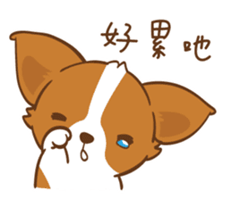 Corgi Dog KaKa - Drama Queen sticker #10591829