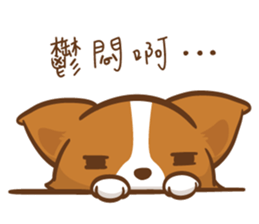 Corgi Dog KaKa - Drama Queen sticker #10591833