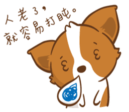 Corgi Dog KaKa - Drama Queen sticker #10591843