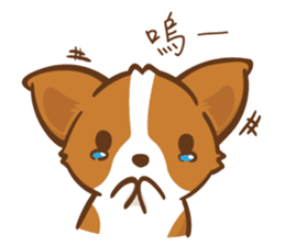 Corgi Dog KaKa - Drama Queen sticker #10591844