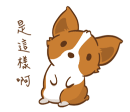 Corgi Dog KaKa - Drama Queen sticker #10591849