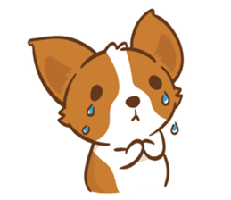 Corgi Dog KaKa - Drama Queen sticker #10591850