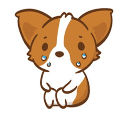 Corgi Dog KaKa - Drama Queen sticker #10591855