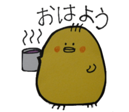 For a women & Girls who is a modest sticker #10594121