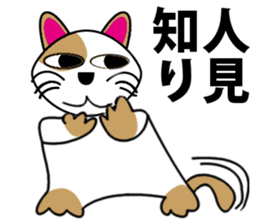 Cat of cloth sticker #10595271