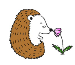Easy to use sticker of Hedehog [English] sticker #10596687