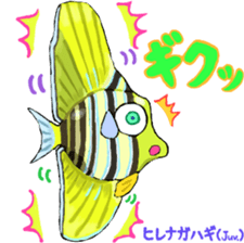 Uminaka ~enhanced version~ sticker #10598314