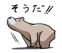 Sticker of the bear sticker #10601531