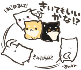 a white Shiba Inu who lives next door sticker #10602863