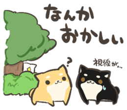 a white Shiba Inu who lives next door sticker #10602872