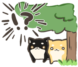 a white Shiba Inu who lives next door sticker #10602874