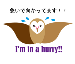 Heart Owl sticker #10602902