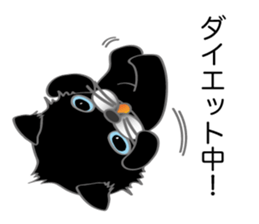 The black cat name is Bob sticker #10604947