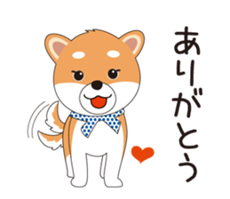 THE SHIBA Inu "SHIBA-KICHI Kun" sticker #10605498