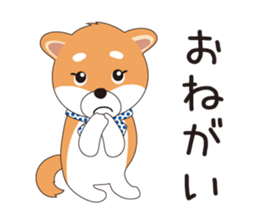THE SHIBA Inu "SHIBA-KICHI Kun" sticker #10605501