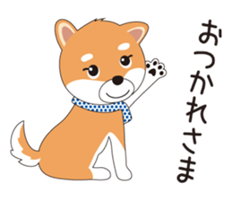 THE SHIBA Inu "SHIBA-KICHI Kun" sticker #10605510