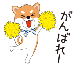 THE SHIBA Inu "SHIBA-KICHI Kun" sticker #10605516