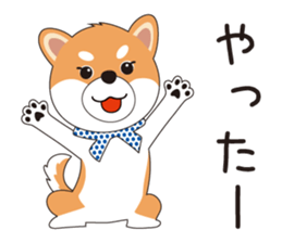 THE SHIBA Inu "SHIBA-KICHI Kun" sticker #10605524