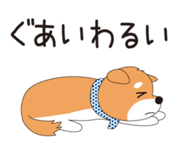 THE SHIBA Inu "SHIBA-KICHI Kun" sticker #10605532