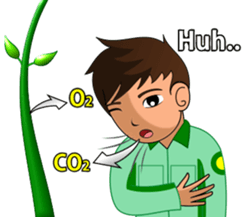 Mr. Kabo & KS Botani sticker #10608770