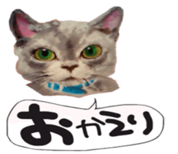 WANNYN sticker #10614766