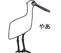 Black faced Spoonbill sticker #10614992