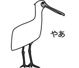 Black faced Spoonbill sticker #10614992
