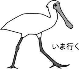 Black faced Spoonbill sticker #10614995