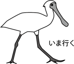 Black faced Spoonbill sticker #10614995