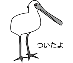 Black faced Spoonbill sticker #10614996