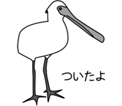 Black faced Spoonbill sticker #10614996