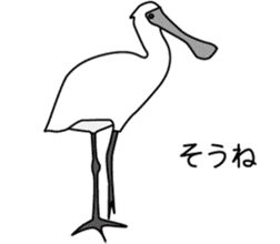 Black faced Spoonbill sticker #10614998