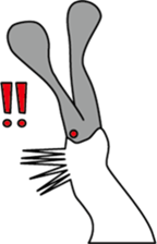 Black faced Spoonbill sticker #10615004