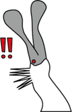 Black faced Spoonbill sticker #10615004